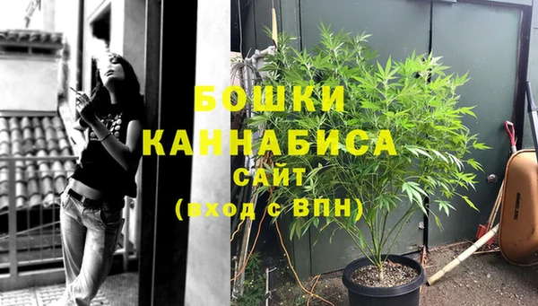 шишки Осинники