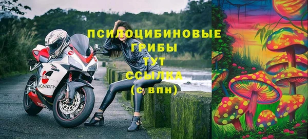 spice Абдулино