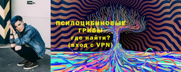 метадон Осташков