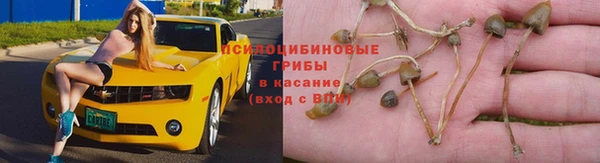 метадон Осташков