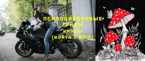 шишки Осинники