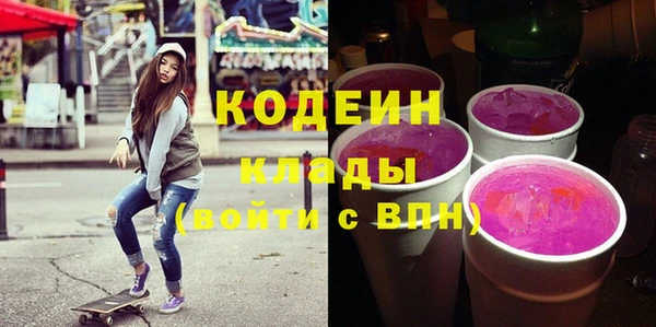 шишки Осинники