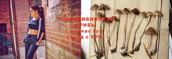 метадон Осташков